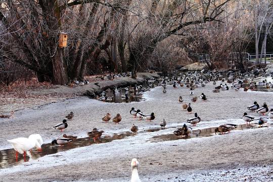 Layton Commons Park — Ogden HVAC, Ogden UT